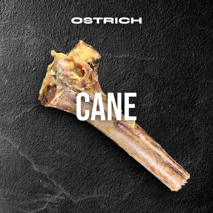 Savannah Pet Food Ostrich Cane Bone