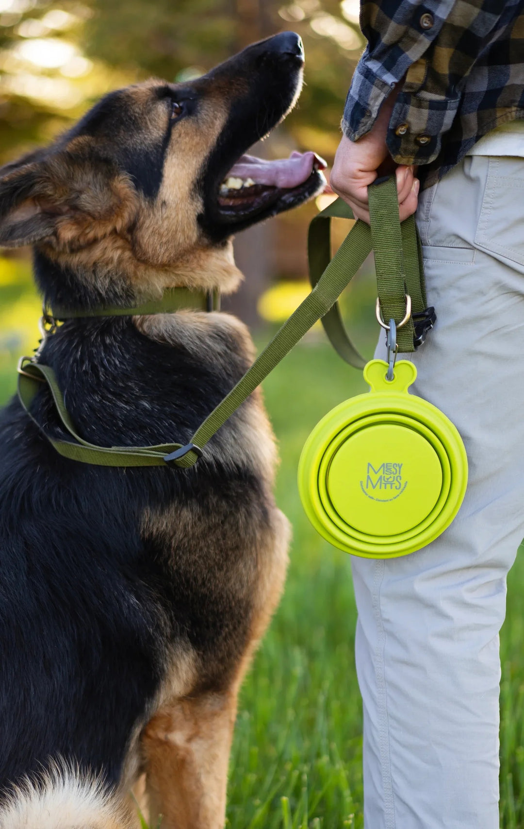 MESSY MUTTS DOG COLLAPSIBLE BOWL GREEN 3 CUP