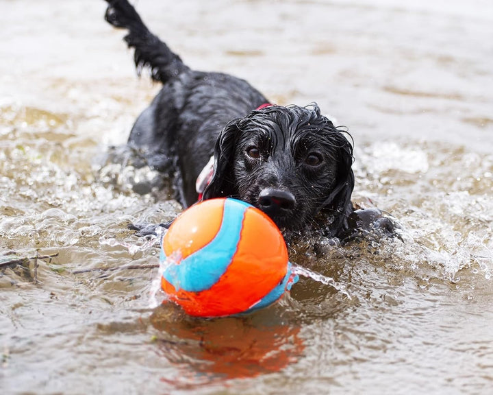 CHUCKIT DOG AMPHIBIOUS MEGA BALL