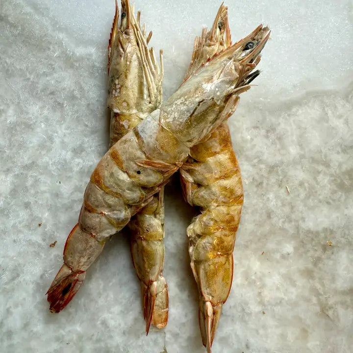 Golden Nibbles Large Prawns/Shrimp - Freeze-Dried