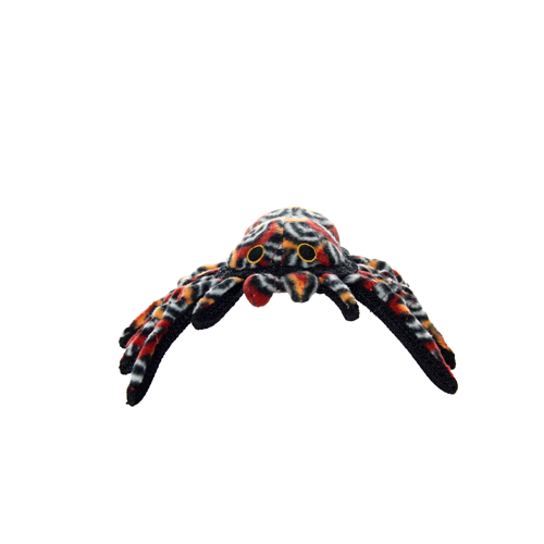 Tuffy Desert Tarantula