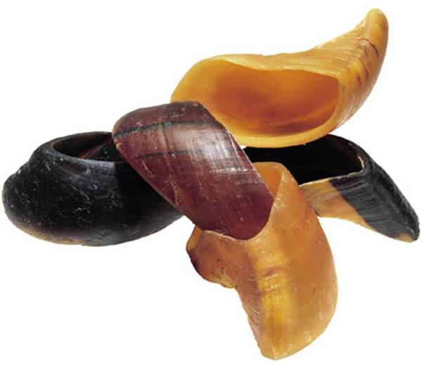 Redbarn Natural Hooves