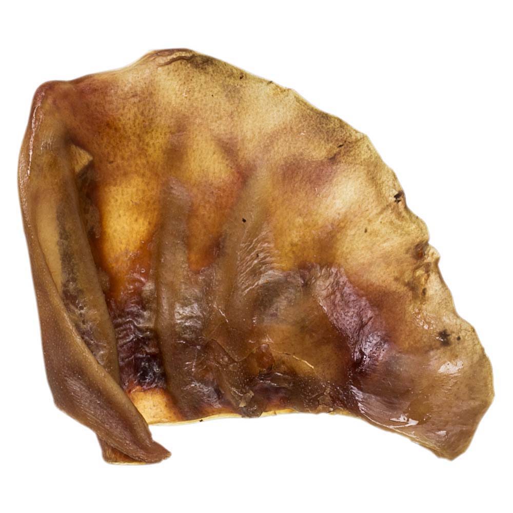Pig Ear