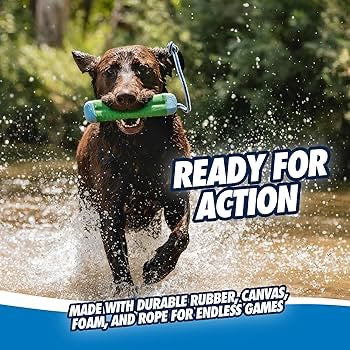 Chuckit! Amphibious Bumper Dog Toy Assorted - Medium